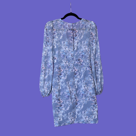 Blue Floral Ruched Dress